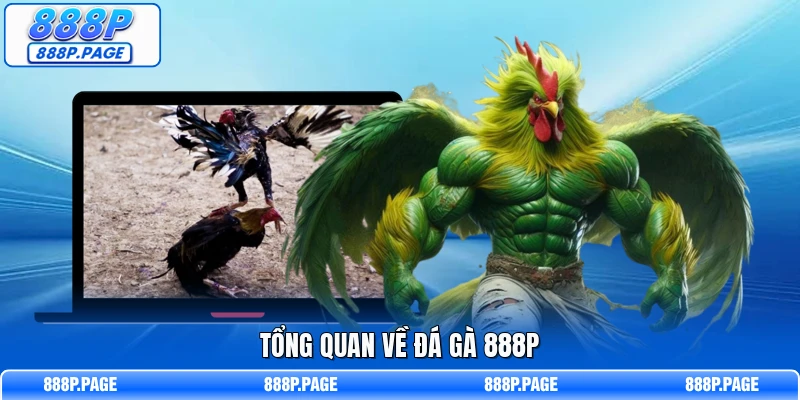 Tổng quan về đá gà 888P